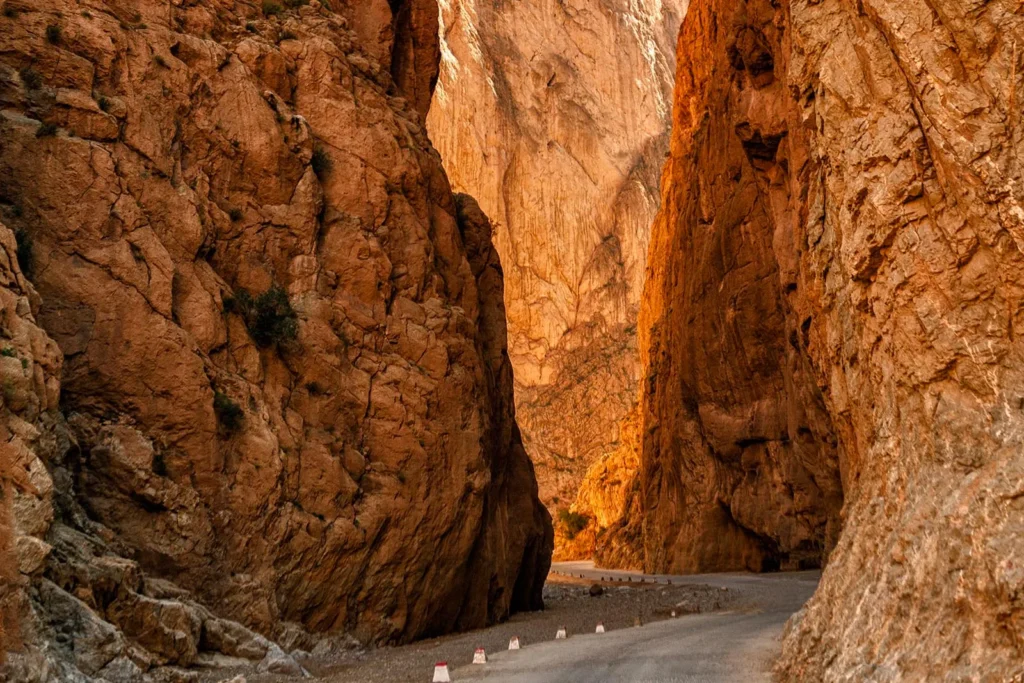 Private Zagora Desert Tour | 2-Day Sahara Camel Trek from Marrakech