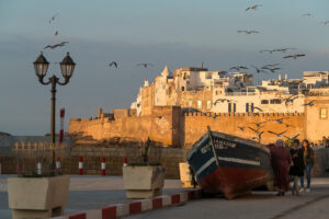 Best Family-Friendly Tours in Morocco 2026: The Ultimate Guide
