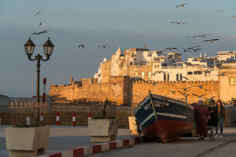 Best Family-Friendly Tours in Morocco 2026: The Ultimate Guide