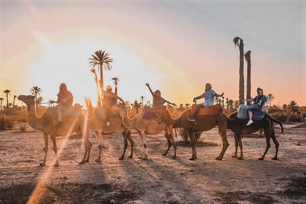 Marrakech Travel Guide