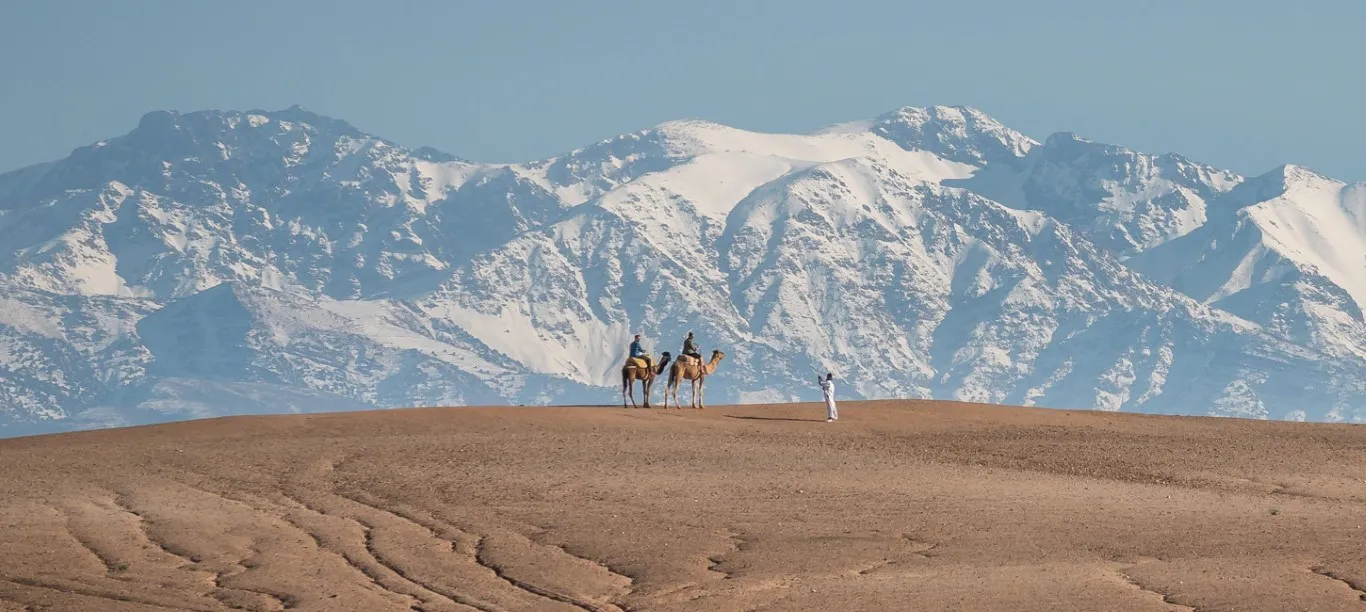Best Morocco Tours from Marrakech: 2026 Desert & Berber Guides