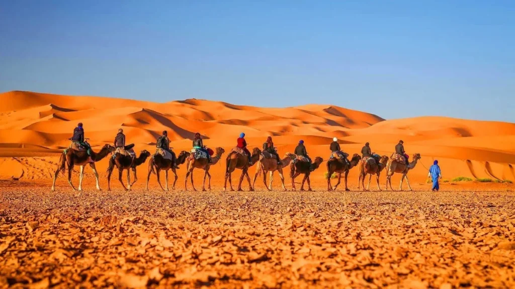 Ultimate Morocco Imperial Cities Adventure