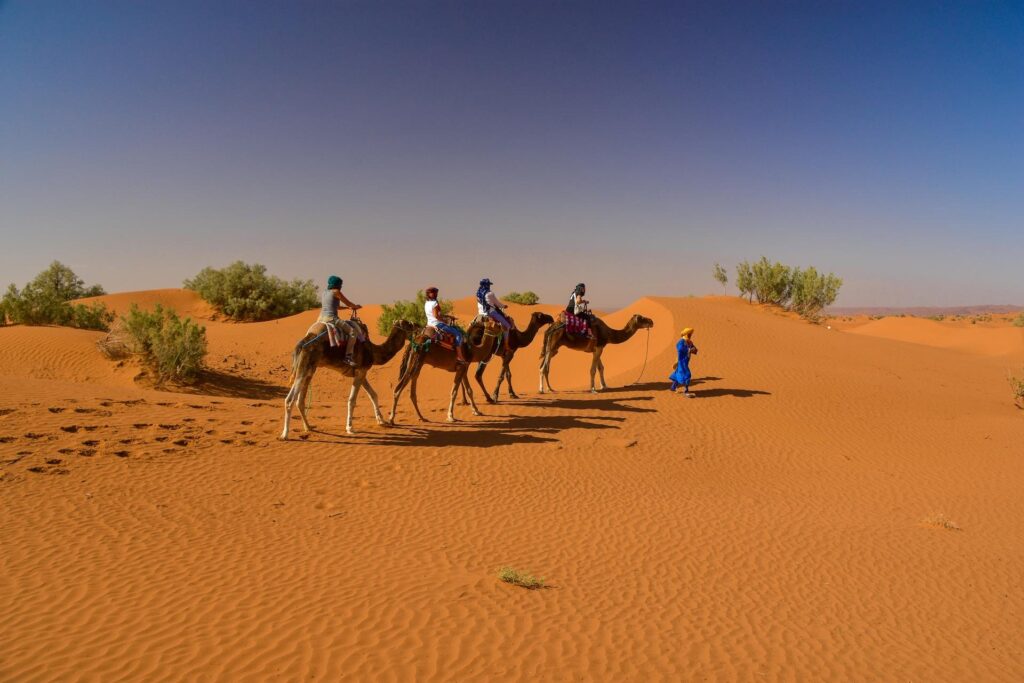 Private Zagora Desert Tour | 2-Day Sahara Camel Trek from Marrakech