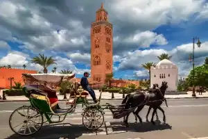 Morocco Tours from Marrakech | Day Trips & Desert Adventures