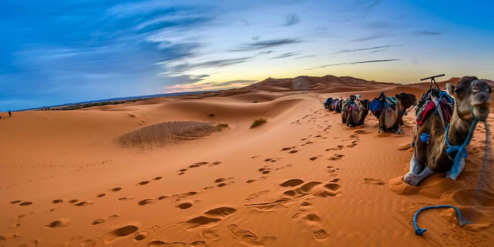 tours in Morocco