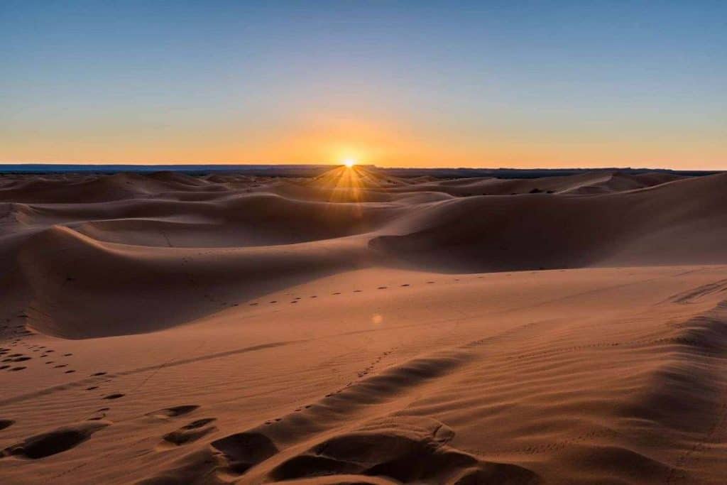 Best Secrets of the Zagora Desert: The Ultimate 2026 Travel Guide