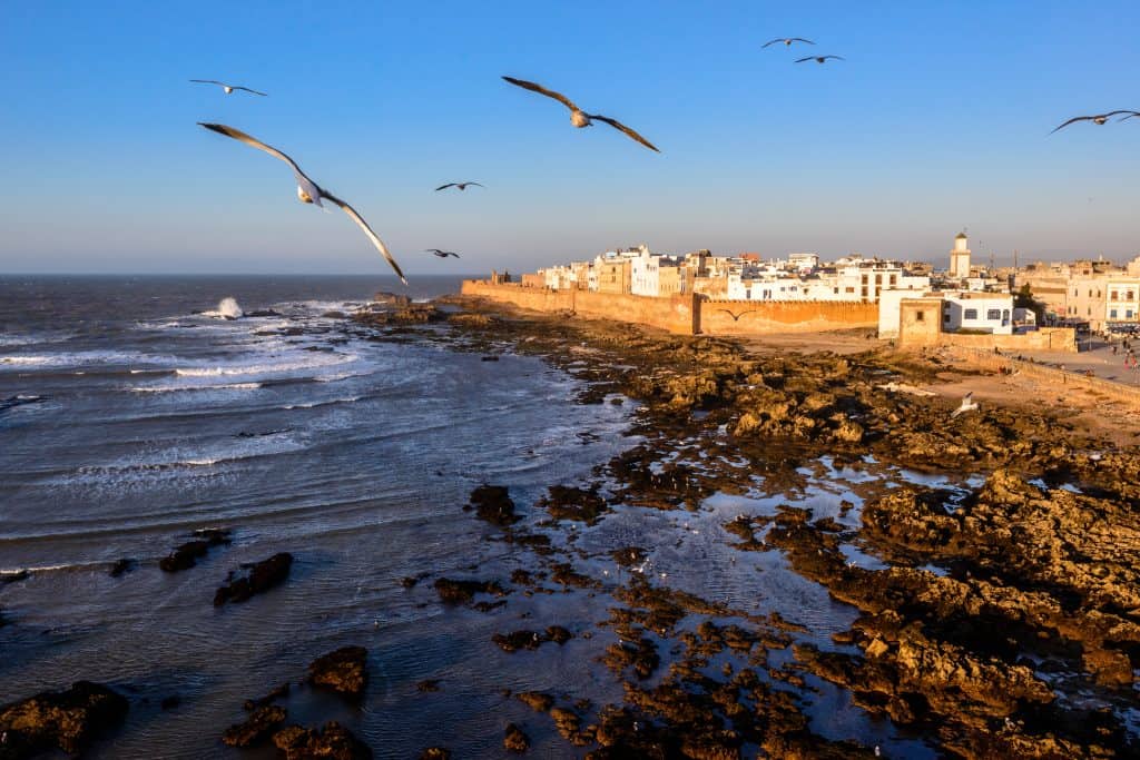 Day Trip to Essaouira from Marrakech