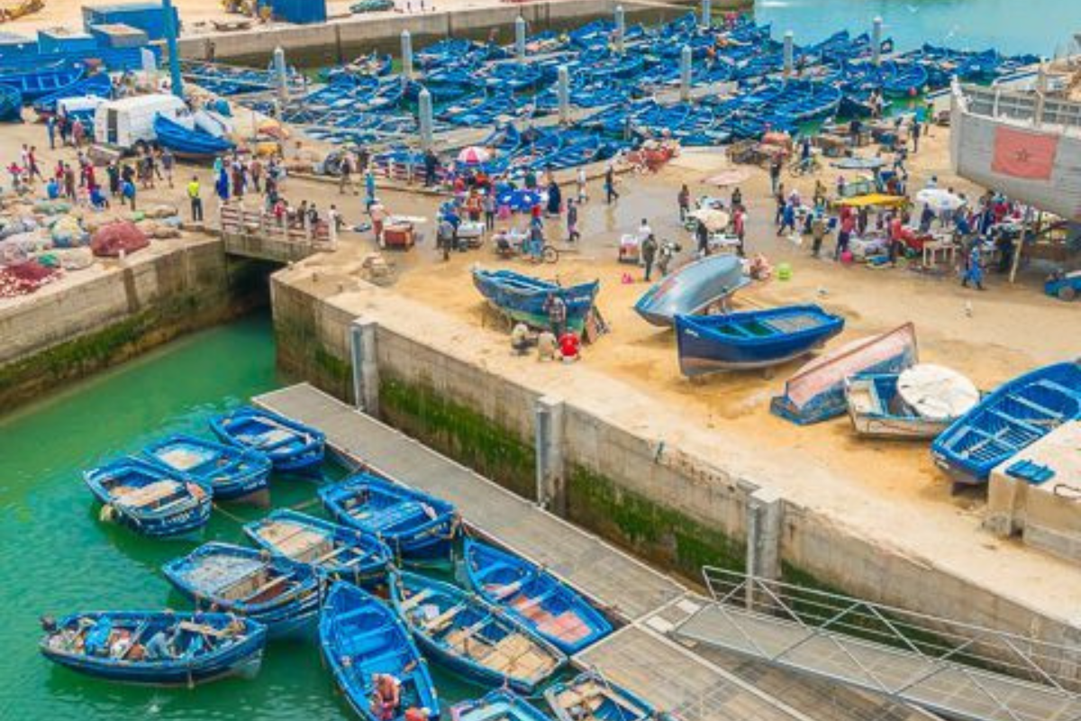 Essaouira Day Trip from Marrakech – Ultimate Morocco Coastal Travel Guide 2026