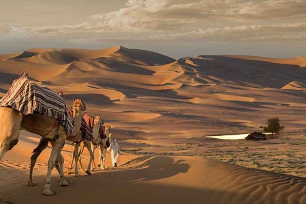 Zagora Desert Morocco Travel Guide 2026 | Camel Trek & Sahara Tours from Marrakech
