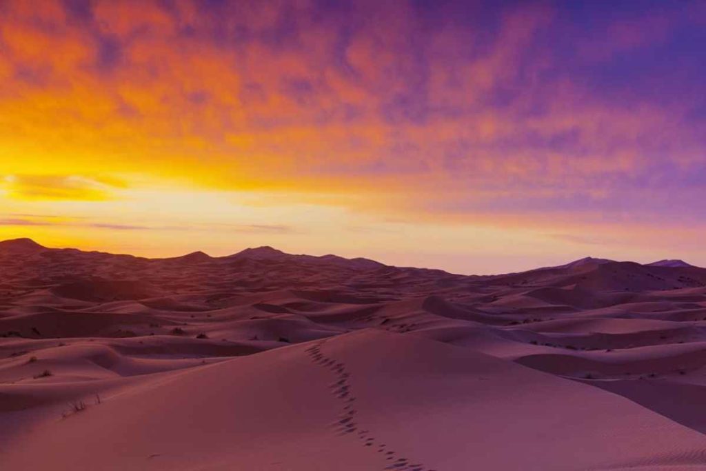 Zagora Desert Morocco