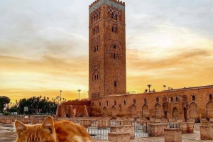 Morocco Tour from Marrakech – Desert & Cultural Trips 2026