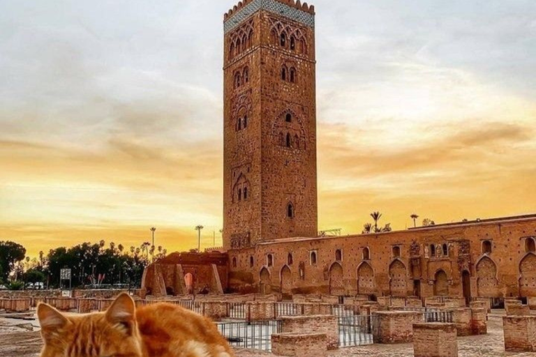 Morocco Tour from Marrakech – Desert & Cultural Trips 2026