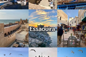 Day Trip From Marrakech To Essaouira | Coastal Escape