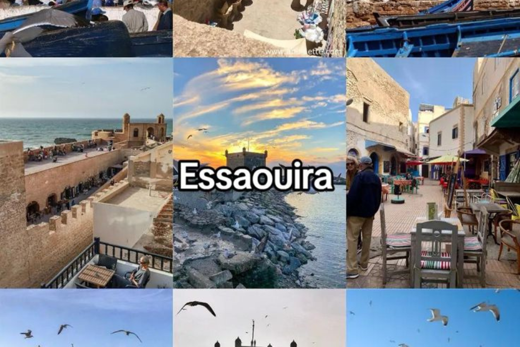 Day Trip From Marrakech To Essaouira | Coastal Escape