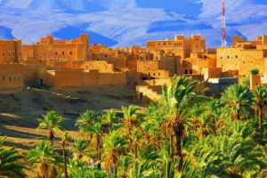 Best Tours from Ouarzazate: Desert Excursions & Morocco Travel Guide