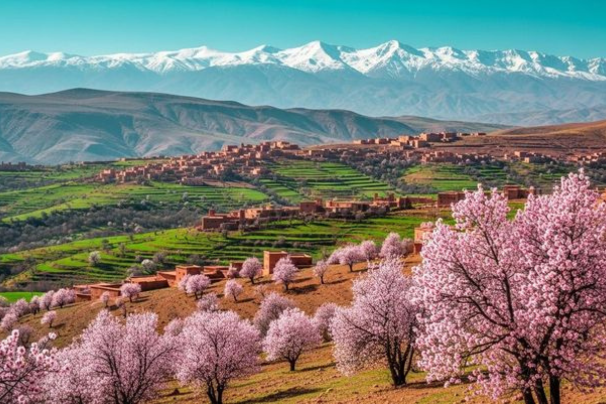 Best Time to Visit Morocco: Complete Weather & Travel Guide 2026