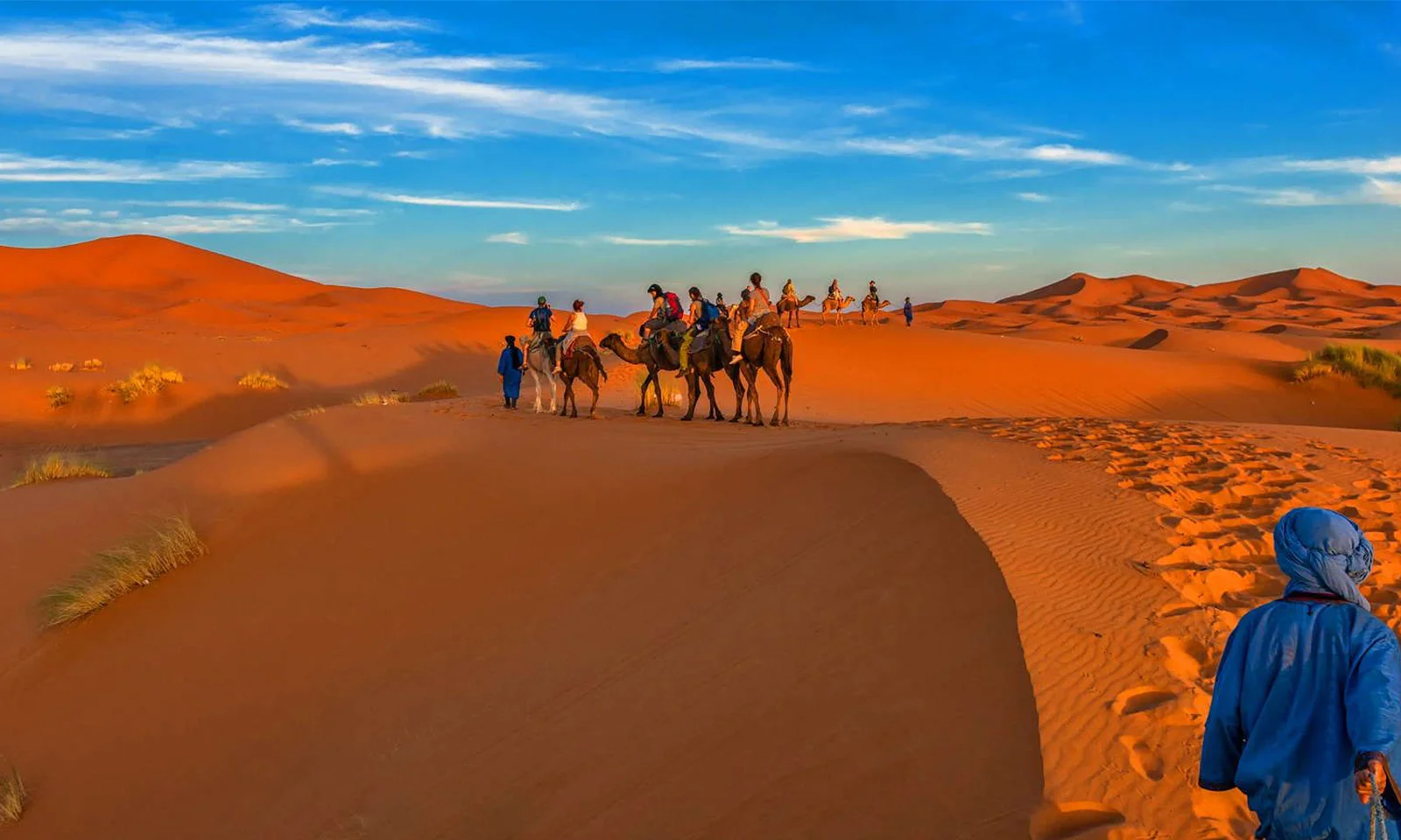 Morocco Desert Trips