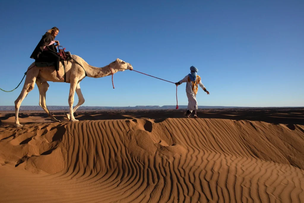 Camel trekking in Merzouga Desert Morocco with golden Sahara sand dunes