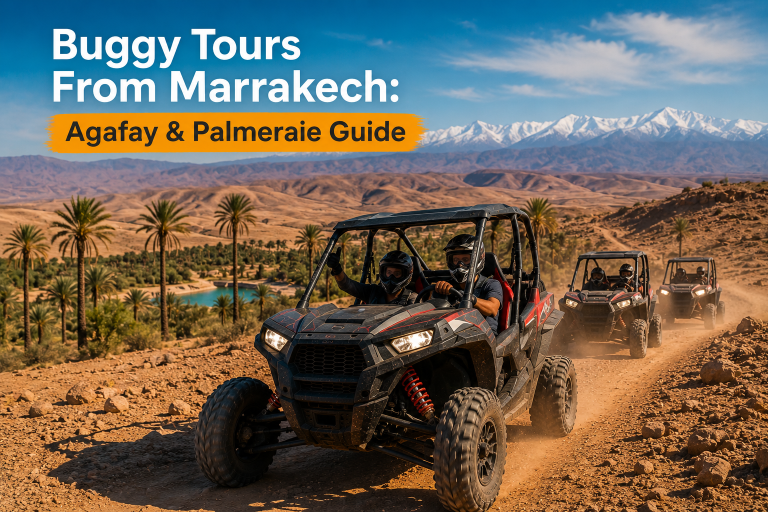 Buggy Tours From Marrakech: Agafay & Palmeraie Guide