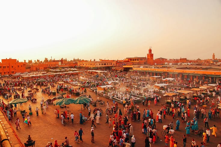 Private Marrakech Day Trips: Best Excursions & Tours